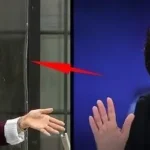 شهره سلطانی: پرستو صالحی با برنامه «عشق ابدی» واژه مقدس عشق را سخره گرفته است