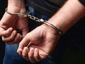 دستگیری ۱۱ نفر از اعضای شرکت هرمی در عملیات پلیس آگاهی فراجا
