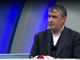 واکنش اسلامی به گروسی: کسی در ایران تهدید به ساخت بمب اتم نکرده است