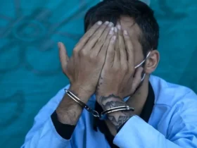 قتل پیرمرد ۸۰ ساله در تهران به خاطر اختلاف بر سر رهن خانه
