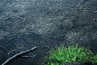 هشدار نارنجی هواشناسی تهران: وزش باد شدید، رگبار و کاهش دما تا ۱۱ درجه