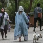 موج جدید ممنوعیت سگ‌گردانی در 18 شهر ایران؛ جنجال بر سر حقوق شهروندان