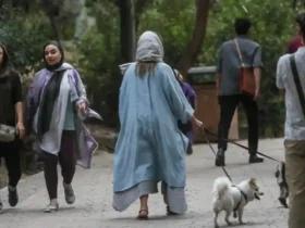 موج جدید ممنوعیت سگ‌گردانی در 18 شهر ایران؛ جنجال بر سر حقوق شهروندان