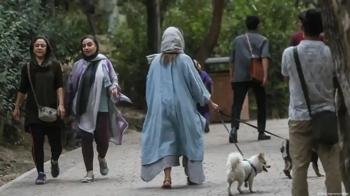موج جدید ممنوعیت سگ‌گردانی در 18 شهر ایران؛ جنجال بر سر حقوق شهروندان