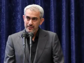 معرفی کامل وزیر اقتصاد سید علی مدنی‌ زاده بیوگرافی کامل وزیر جدید اقتصاد ایران