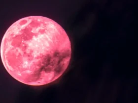 ماه کامل "صورتی" در ۲۱ خرداد ۱۴۰۴؛ کم‌ ارتفاع‌ترین ماه کامل دهه‌های اخیر را از دست ندهید!