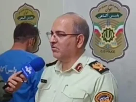 از ناپدید شدن تا دستگیری قاتل؛ روایت کامل قتل دلخراش الهه حسین‌نژاد از زبان پلیس تهران