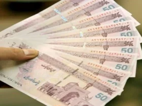 واریز ۸۰۰ میلیارد تومان سود به بازنشستگان صندوق ذخیره فرهنگیان
