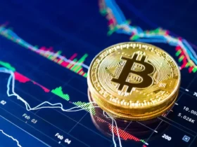 بیت‌کوین رکورد تاریخی زد - عبور قیمت از ۱۲۱ هزار دلار در آستانه تغیر در آمریکا