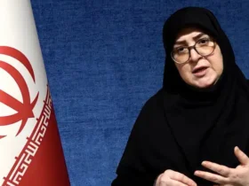 تصویب استرداد لایحه فضای مجازی در جلسه امروز دولت