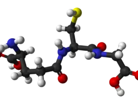 glutathione-chist-favaed