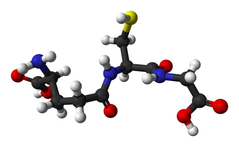 glutathione-chist-favaed