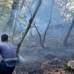آتش‌سوزی در جنگل ابر شاهرود؛ ۳۵ هکتار از مراتع طعمه حریق شد