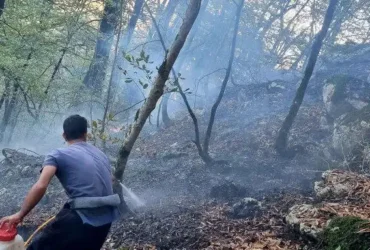 آتش‌سوزی در جنگل ابر شاهرود؛ ۳۵ هکتار از مراتع طعمه حریق شد
