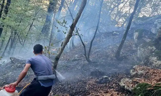 آتش‌سوزی در جنگل ابر شاهرود؛ ۳۵ هکتار از مراتع طعمه حریق شد