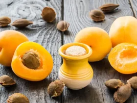 خواص شگفت‌انگیز هسته زردآلو؛ از تقویت قلب تا احتمال پیشگیری از سرطان