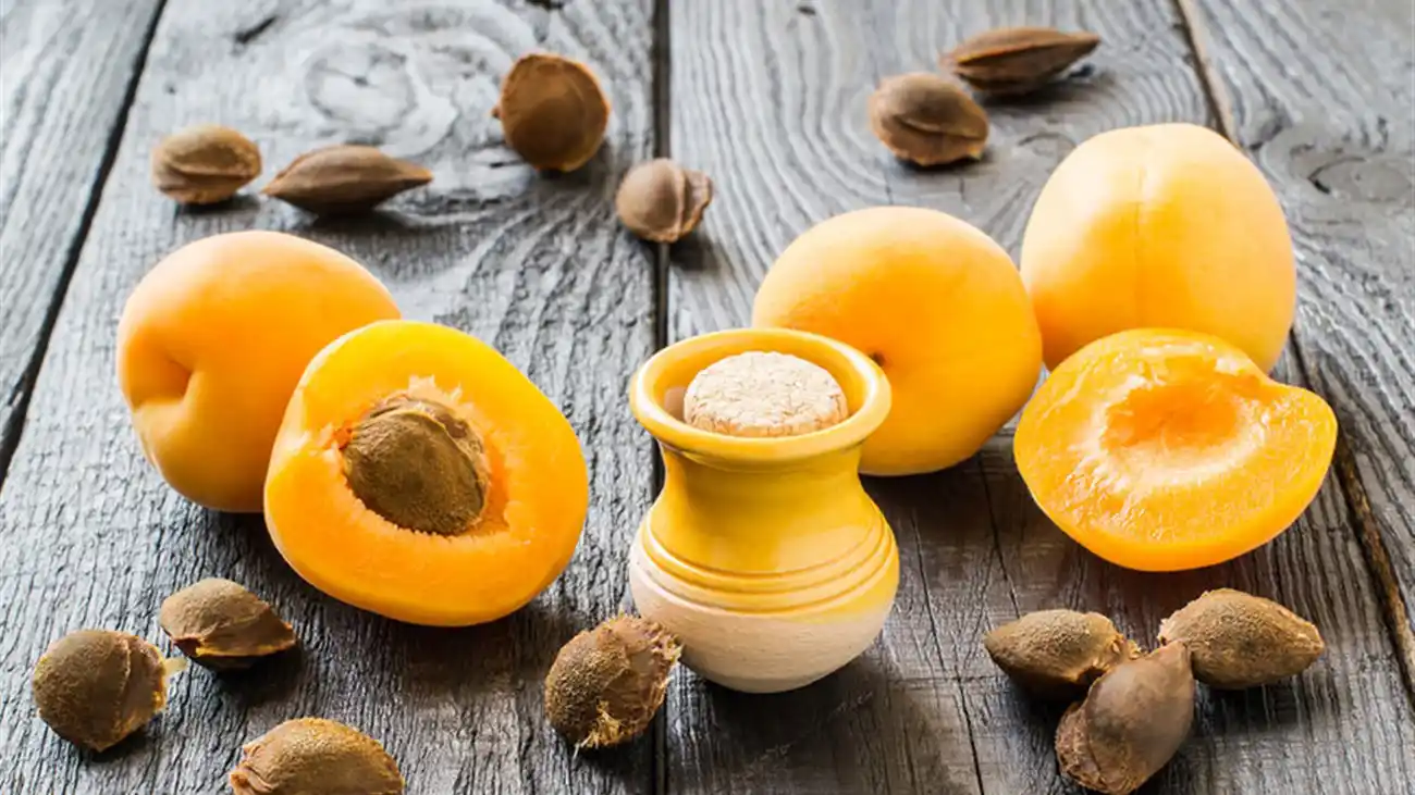 خواص شگفت‌انگیز هسته زردآلو؛ از تقویت قلب تا احتمال پیشگیری از سرطان