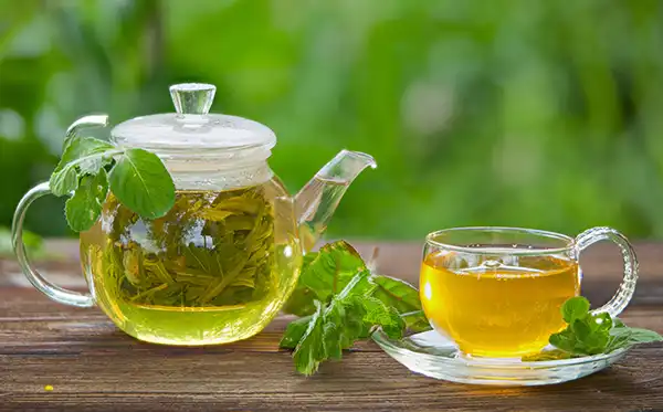 بهترین زمان مصرف چای سبز برای لاغری کی بیشترین چربی‌ سوزی را داریم