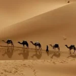 سالروز هجرت پیامبر چه روزی است - حجرت پیامبر از مکه به مدینه کی هست