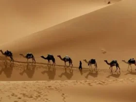 سالروز هجرت پیامبر در سال ۱۴۰۵ چه روزی است؟
