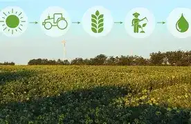 مدیریت آب و انرژی، کلید پایداری آینده کشاورزی ایران
