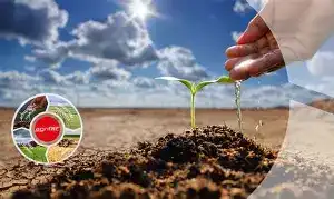 مدیریت آب و انرژی، کلید پایداری آینده کشاورزی ایران