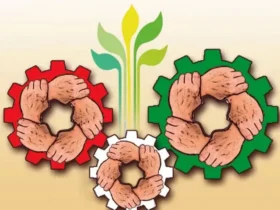تاریخ روز تعاون در سال ۱۴۰۵ چه روزی است؟