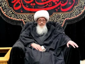 فرزند آیت‌الله وحید خراسانی: معظم‌له در سلامت کامل هستند و فردا در مراسم عزاداری حضور می‌یابند