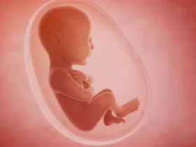 معاونت بهداشت: اخبار نادرست درباره سقط جنین و سندروم داون تکذیب شد