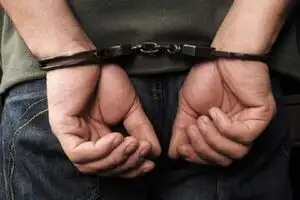 خدمتکار قلابی سارق سریالی بود