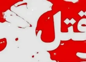 قتل هولناک رئیس بانک در تهران با ۴۰ ضربه چاقو + اعترافات متهمان در دادگاه