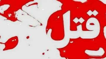 قتل هولناک رئیس بانک در تهران با ۴۰ ضربه چاقو + اعترافات متهمان در دادگاه
