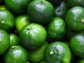 قیمت جدید نارنگی و میوه‌های نوبرانه در بازار – نارنگی چند؟ ۴ مهر ۱۴۰۴