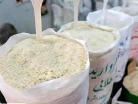 قیمت روز برنج ایرانی - نرخ ۱۶ مدل برنج در بازار امروز ۳۱ شهریور ۱۴۰۴