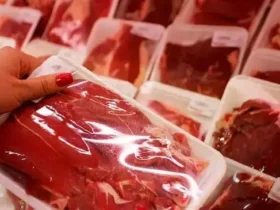 توزیع گوشت دولتی رایگان شروع شد