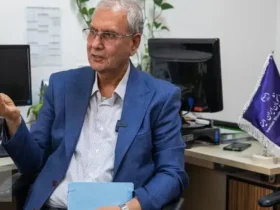 نظر ربیعی درباره حذف یارانه پردرآمدها/ بررسی شکایات با سرعت در حال پیگیری