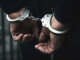 تأیید خبر بازداشت پژمان جمشیدی از سوی قوه قضاییه