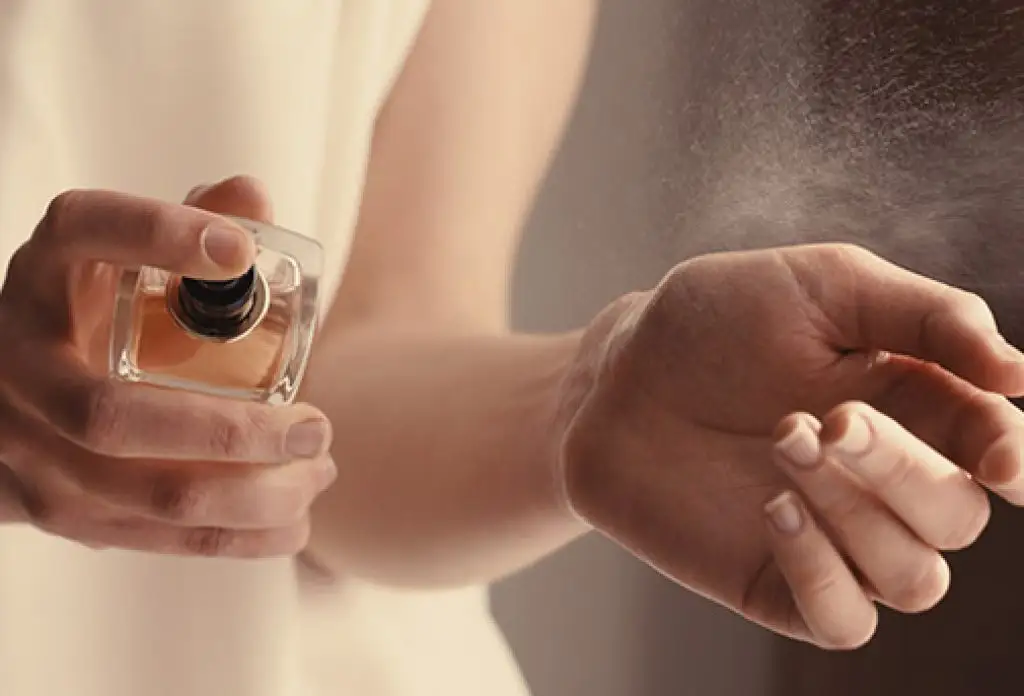 بهترین نقاط بدن برای عطر زدن؛ راز ماندگاری بوی خوش در تمام طول روز