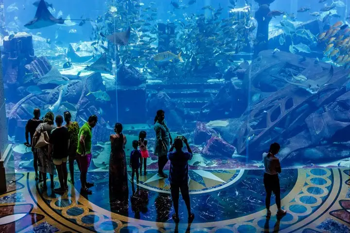 آکواریوم دبی