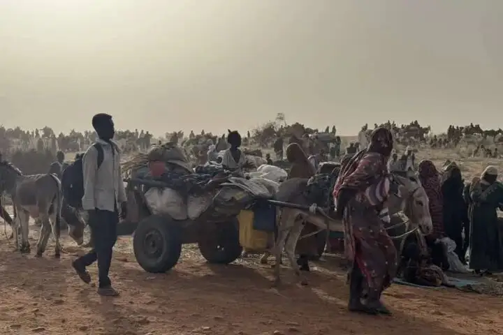 اعدام دستهجمعی ۲ هزار نفر در الفاشر طی دو روز؛ جنایتی علیه بشریت در دارفور