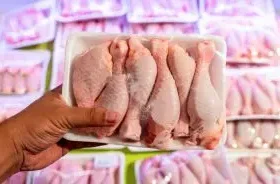 آغاز عرضه گسترده مرغ با نرخی عجیب