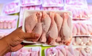 آغاز عرضه گسترده مرغ با نرخی عجیب