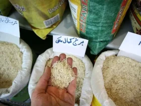 قیمت جدید برنج‌های پردیس، طبیعت، محسن و خاطره اعلام شد