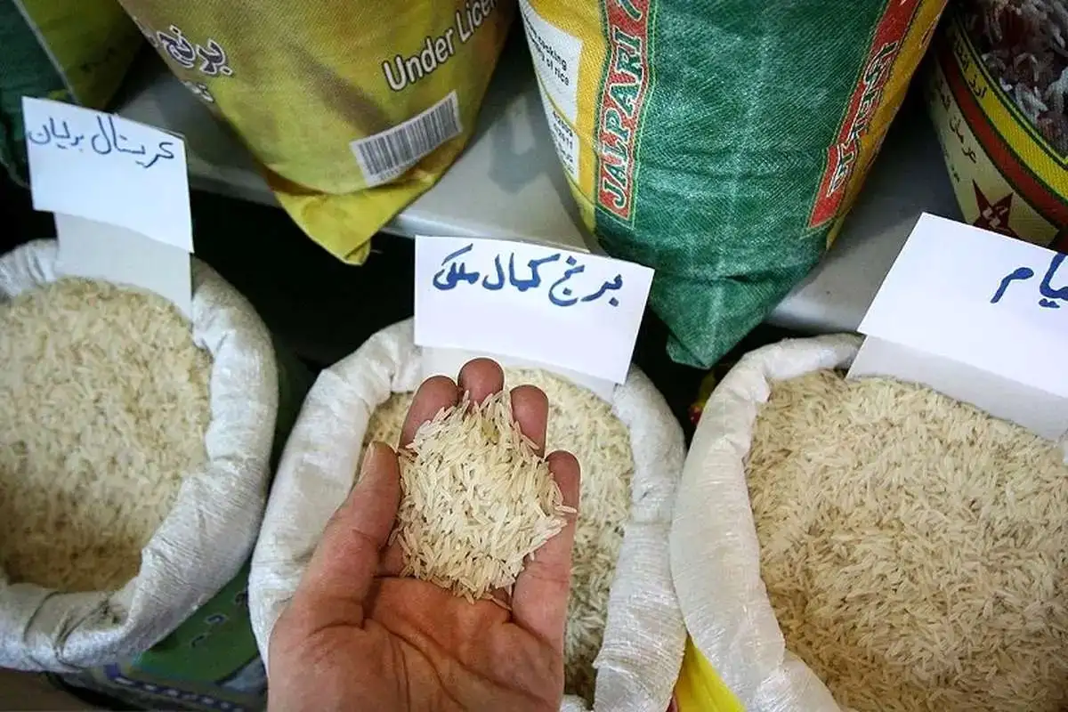 قیمت جدید برنج‌های پردیس، طبیعت، محسن و خاطره اعلام شد