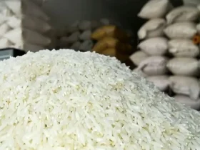 این قیمت واقعی برنج است - افشای اختلاف سهبرابری در توزیع برنج