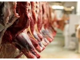 قیمت گوشت وارداتی تعیین شد - سقف فروش ۶۰۰ هزار تومان اعلام شد