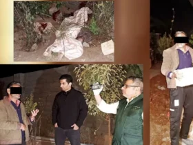 پدر برای نجات جان خود، پسر معتادش را با بلوک سیمانی کشت