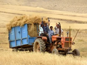 آغاز ثبت‌نام وام ۵۰ میلیونی برای بیمه‌ شدگان روستایی