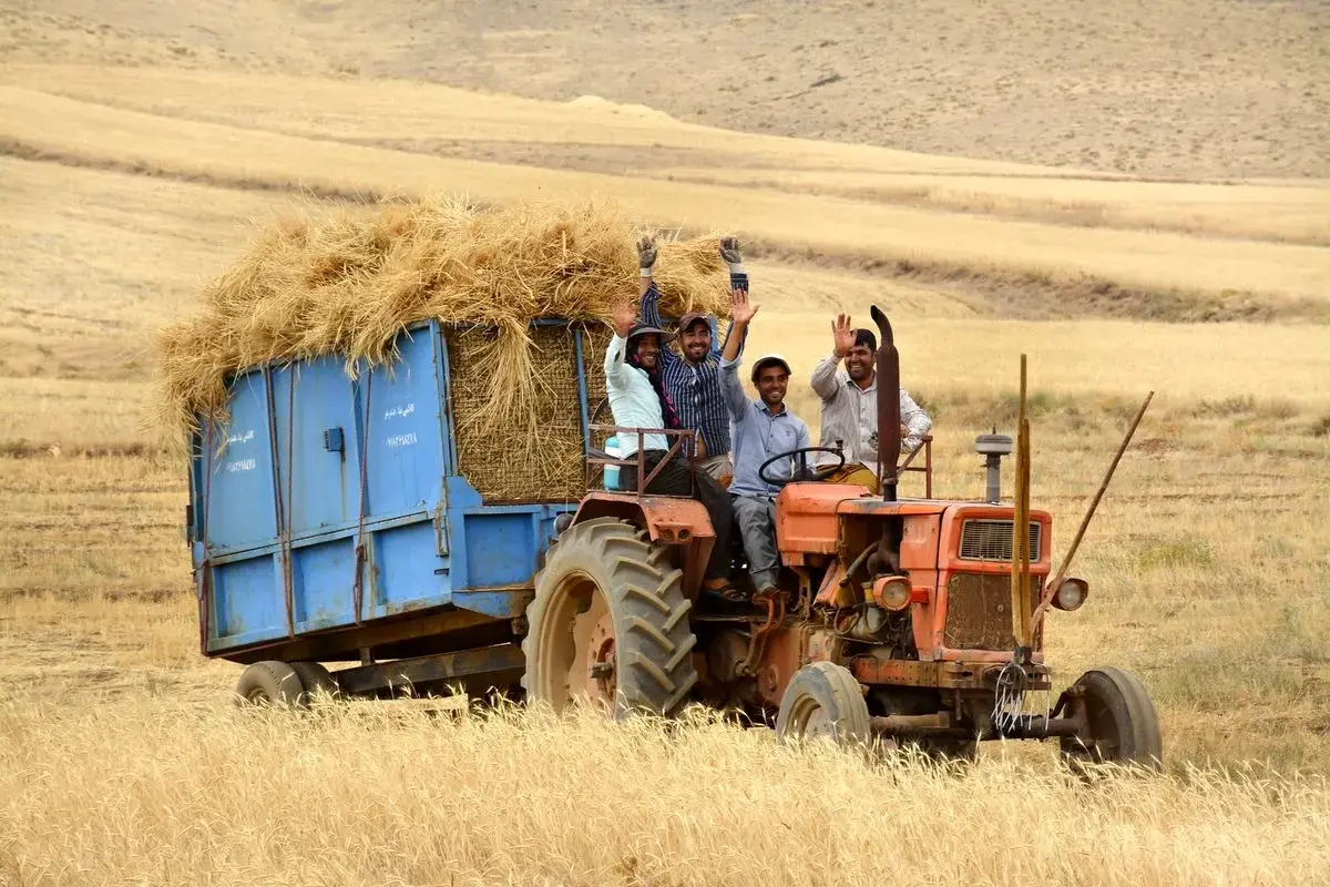 آغاز ثبت‌نام وام ۵۰ میلیونی برای بیمه‌ شدگان روستایی