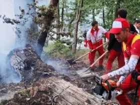 بازگشت آتش به جنگل‌های کارمزد؛ دو هزار مترمربع طعمه حریق شد